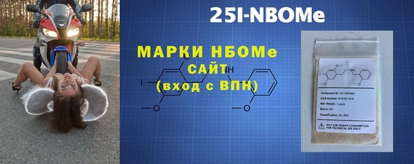 индика Богородск