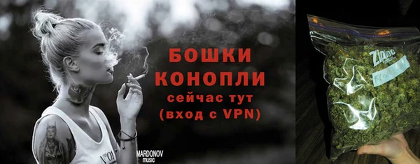 сатива Богородицк