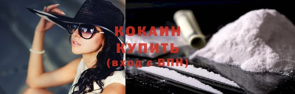 индика Богородск