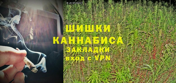 прущие крисы Богданович
