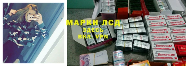 индика Богородск