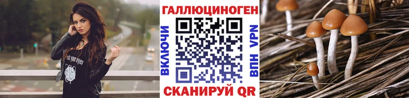 omg как войти  Южноуральск  Галлюциногенные грибы GOLDEN TEACHER 